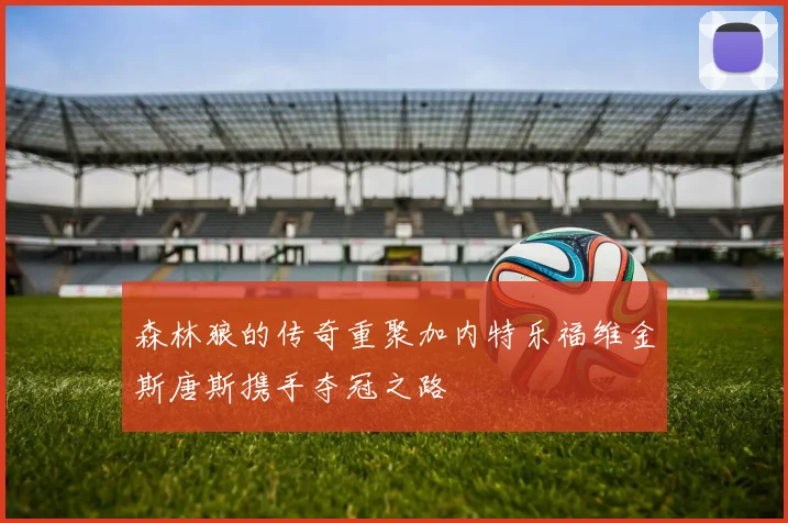 森林狼的传奇重聚加内特乐福维金斯唐斯携手夺冠之路